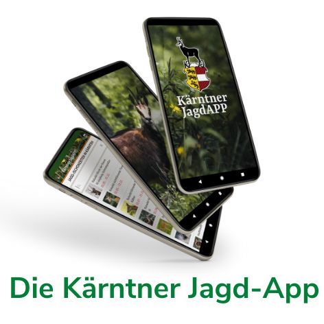 die kärntner jagd app