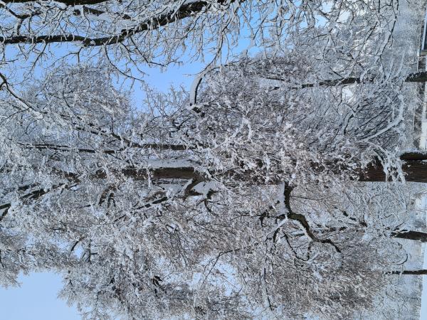 Mageregg im Winter Mageregg im Winter