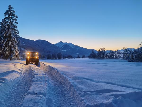 Winterfütterung, fotografiert von Lukas Neuwirther