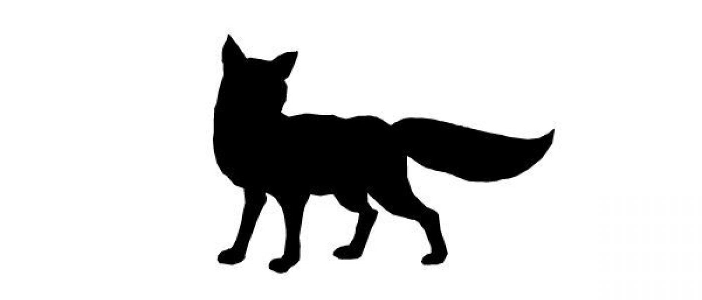 BJT_Fuchs