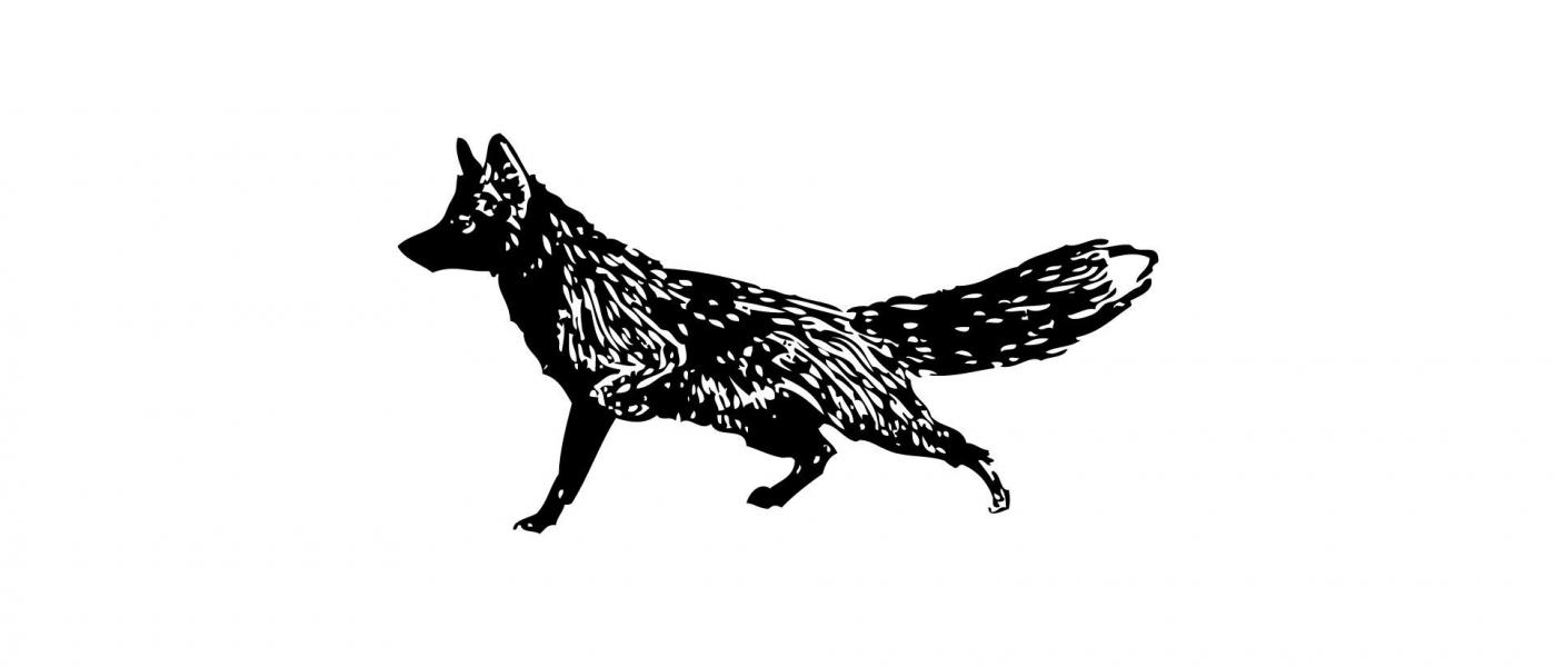 Fuchs
