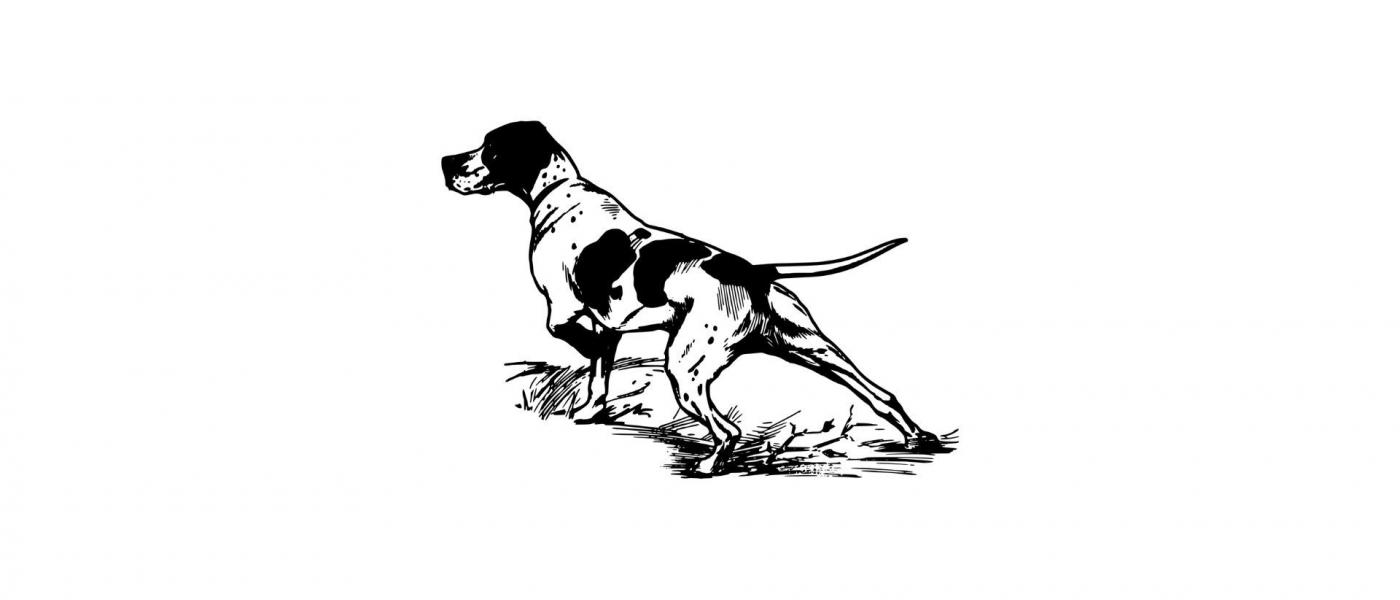 BJT_Jagdhund