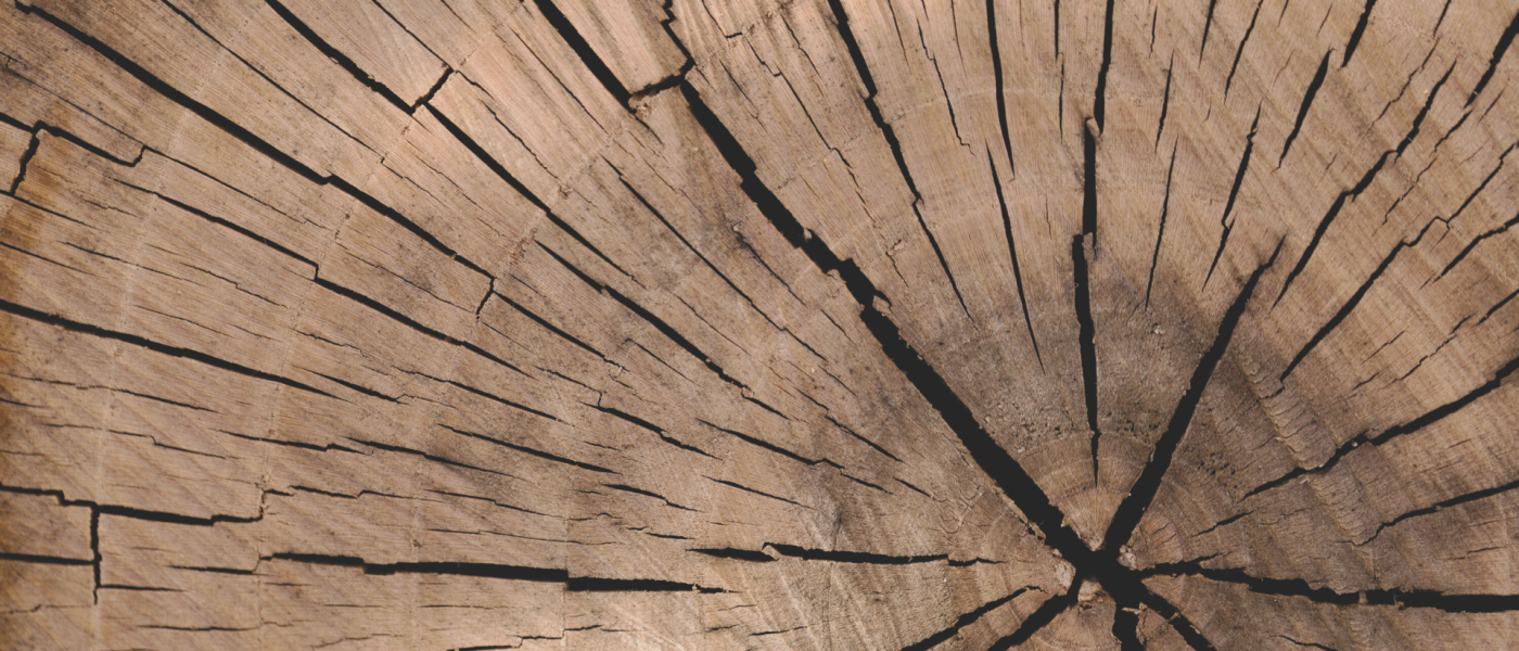 Holz Grau