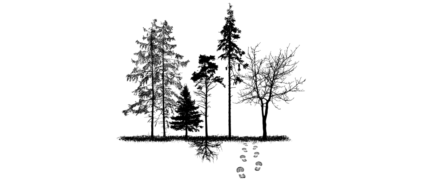 Waldspaziergang