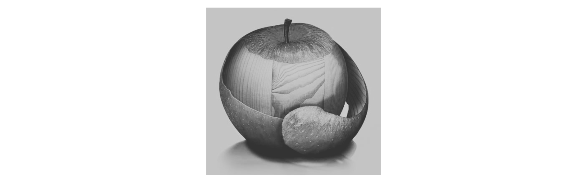 Holzmesse