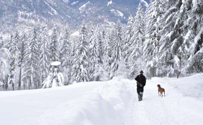 Jäger mit Hund Jäger mit Hund