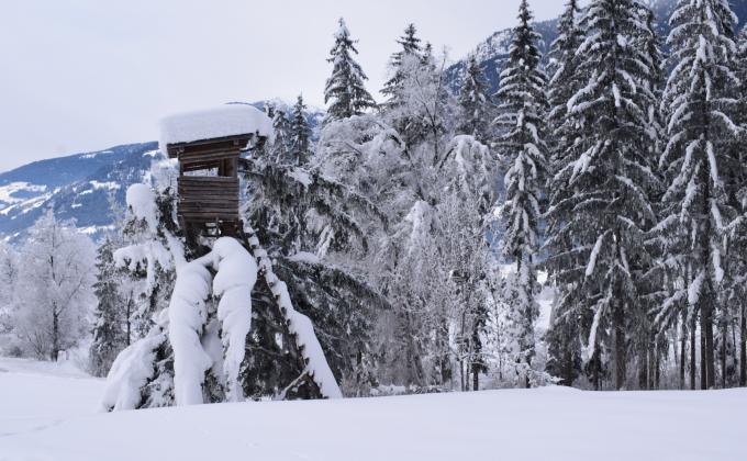 Hochsitz im Schnee