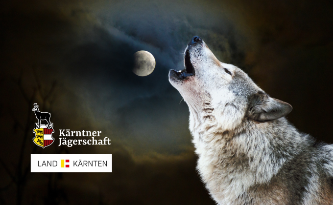Wolf Nachtsichttechnik Wolf Nachtsichttechnik