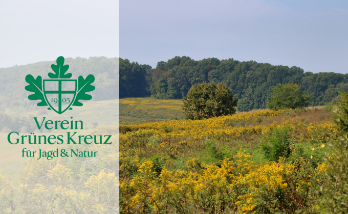 Grünes Kreuz