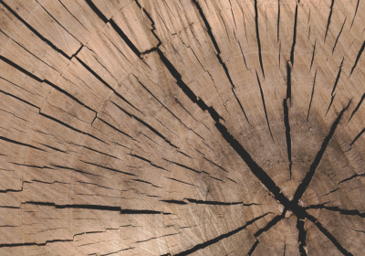 Holz Grau