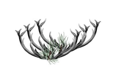 Erntehirsch