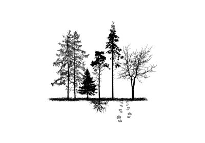 Waldspaziergang
